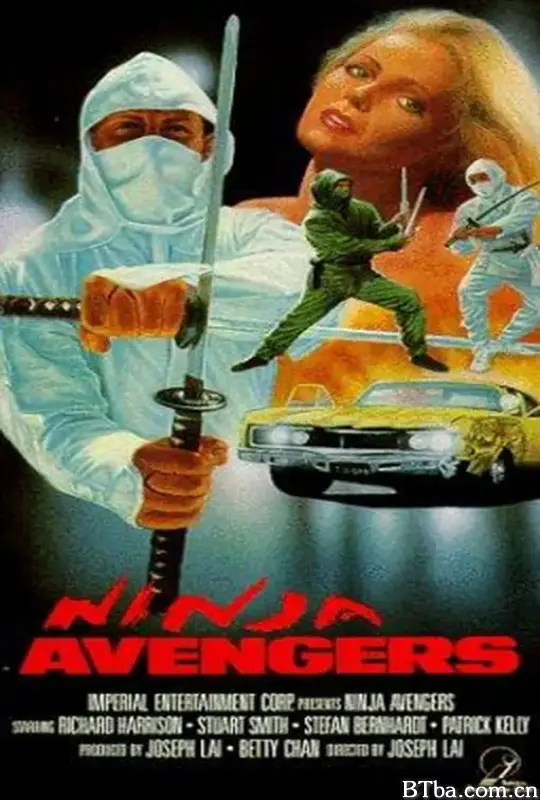 忍者太保之地狱变/Ninja Avengers
