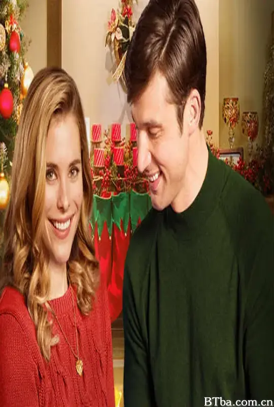 完美圣诞节/A Perfect Christmas