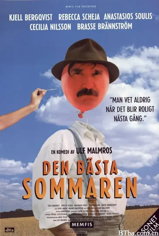 最美丽的夏天/Den bästa sommaren
