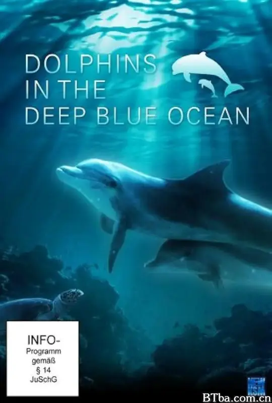 深蓝色海洋里的海豚/Dolphins in the Deep Blue Ocean