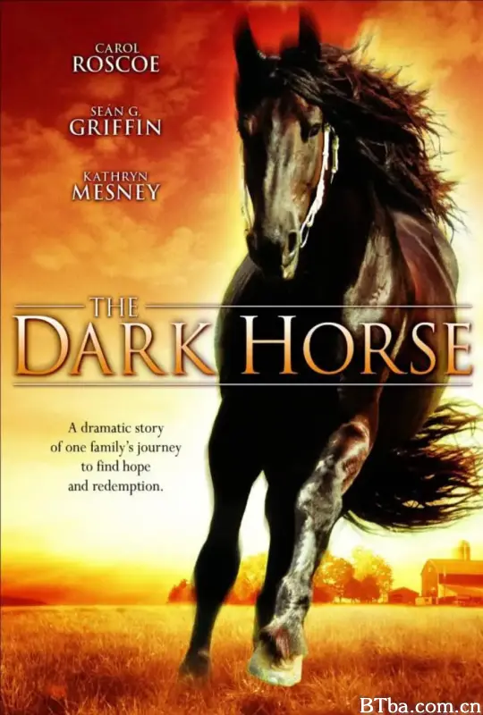 黑马/The Dark Horse