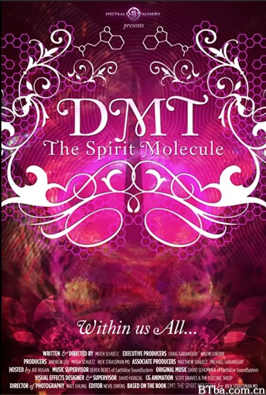 二甲基色胺：精神分子/DMT: The Spirit Molecule