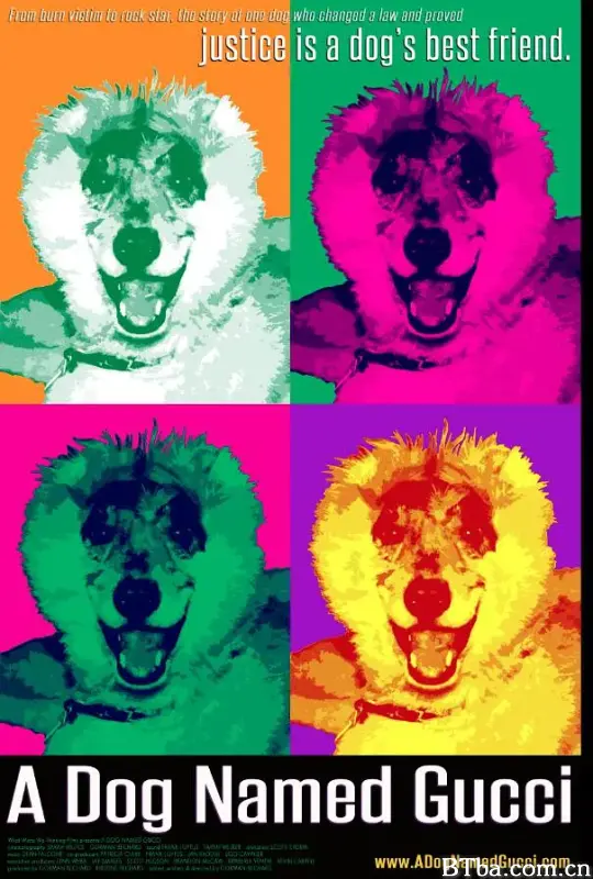 A Dog Named Gucci