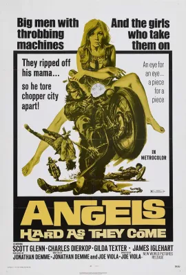 天使飞轮/Angels Hard as They Come