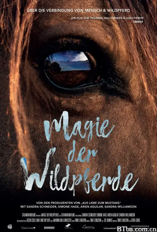 野马的魔力/Magie der Wildpferde