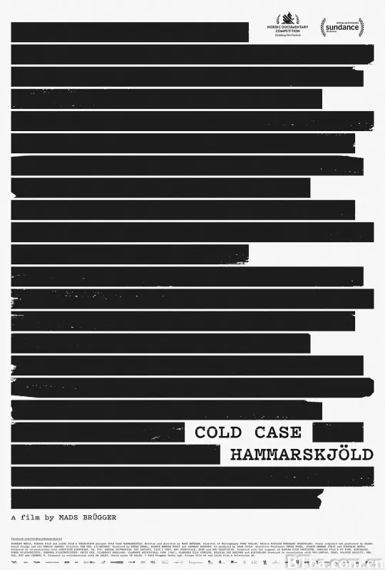 哈马舍尔德悬案/Cold Case Hammarskjöld