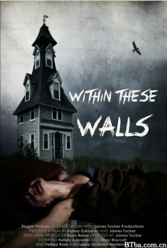高墙内/Within These Walls