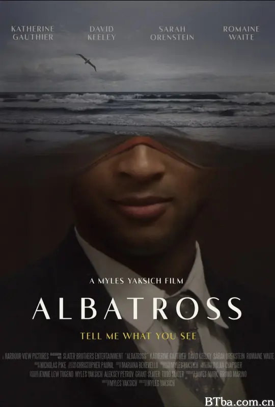 信天翁/Albatross