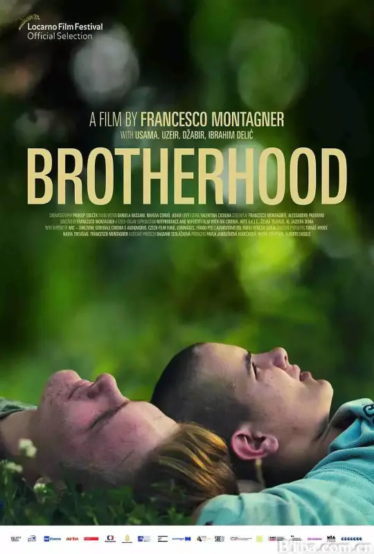 兄弟手足/Brotherhood
