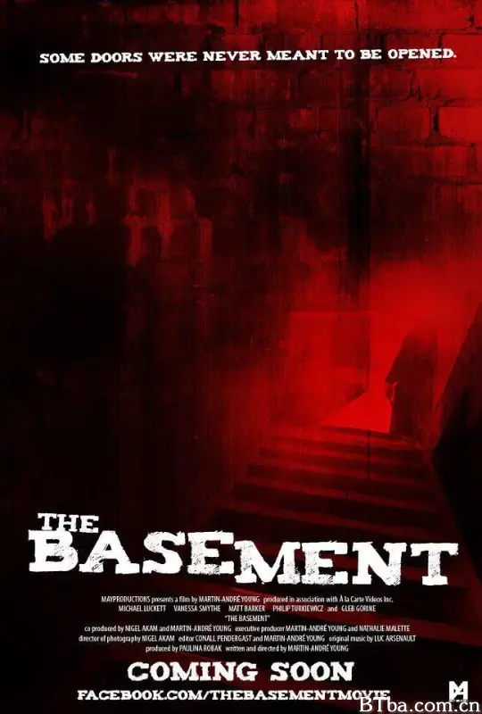 The Basement (2011) 1080P/720P BT磁力 迅雷网盘下载