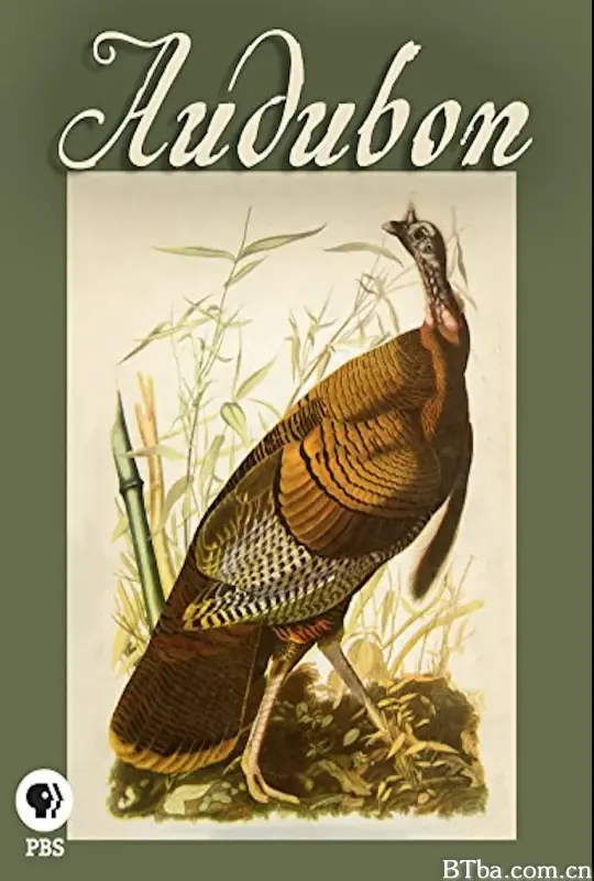 Audubon