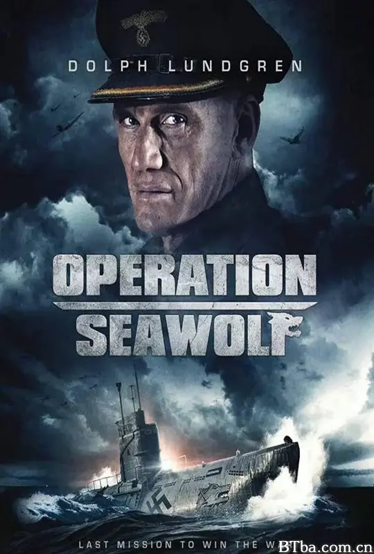 海狼行动/Operation Seawolf