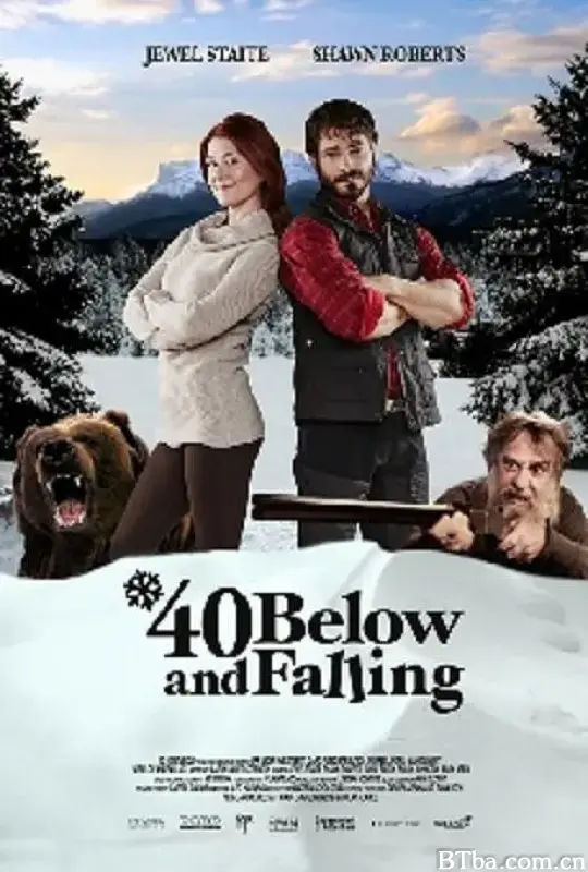 雪地真爱密码（台湾）/40 Below and Falling