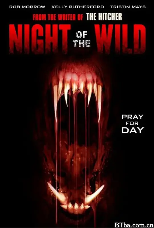 野性之夜/Night of the Wild