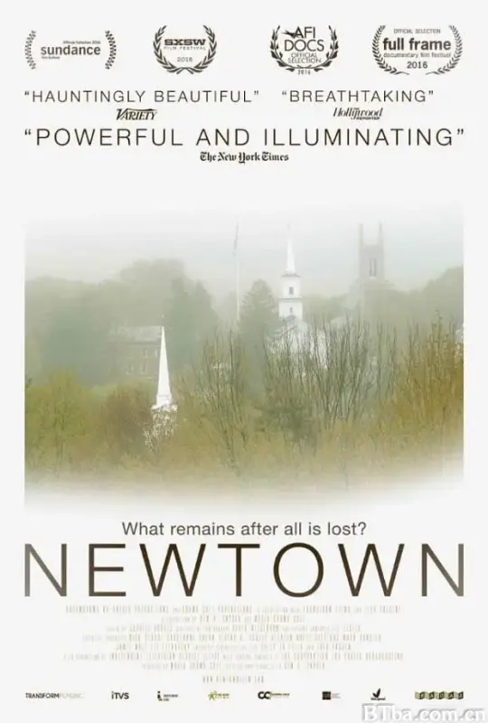 城镇新生/Newtown