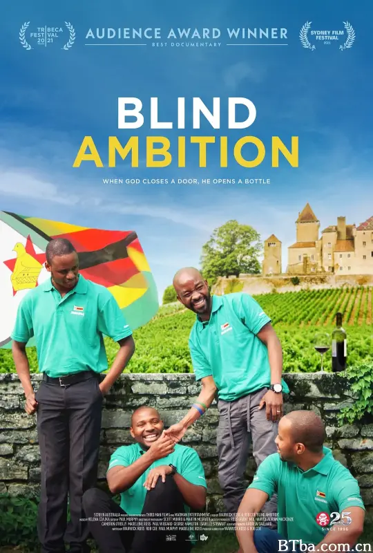 盲目的雄心/Blind Ambition
