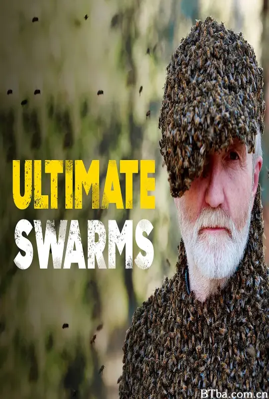 群居动物的疯狂世界/Ultimate Swarms