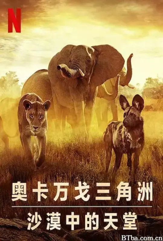 幸存的天堂/Surviving Paradise: A Family Tale