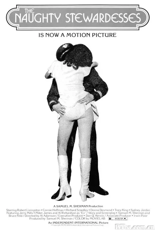 空中护理员/The Naughty Stewardesses