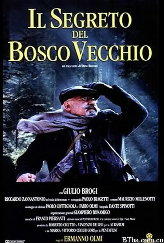 老木的秘密/Il segreto del bosco vecchio