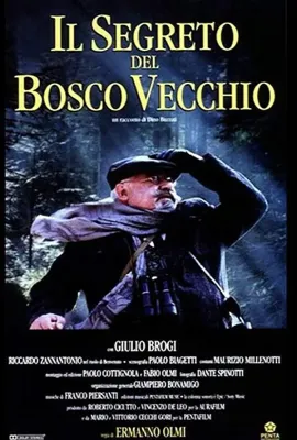 老木的秘密/Il segreto del bosco vecchio