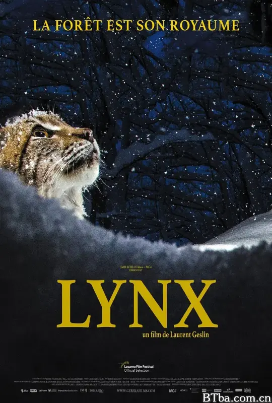 回归自然的猞猁/Lynx