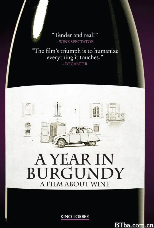 在勃艮第的一年/A Year in Burgundy
