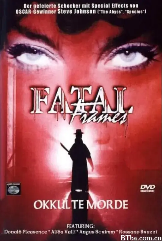 致命的框架/Fatal Frames