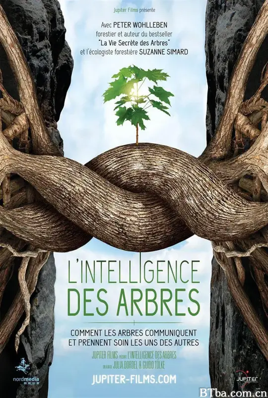 树的智慧/L'Intelligence des arbres