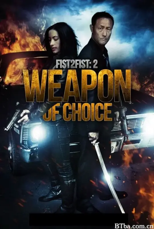 拳拳到肉2：十八般武器/weapon of choice