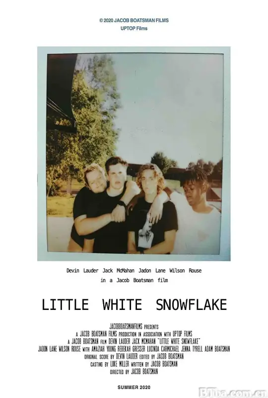 白色小雪花/Little White Snowflake
