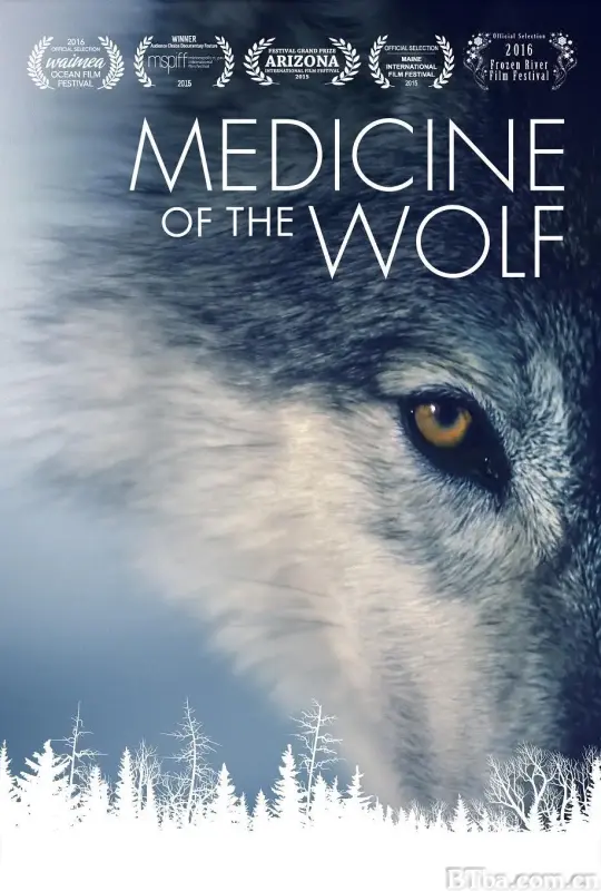 狼医学/Medicine of the Wolf