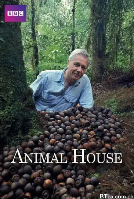 自然世界：动物之家/Natural World: Animal House