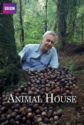 自然世界：动物之家/Natural World: Animal House