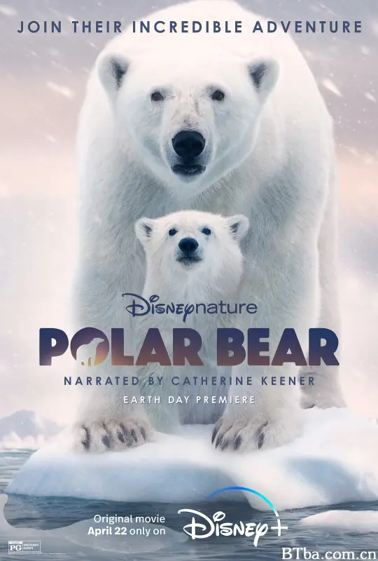北极熊/Polar Bear