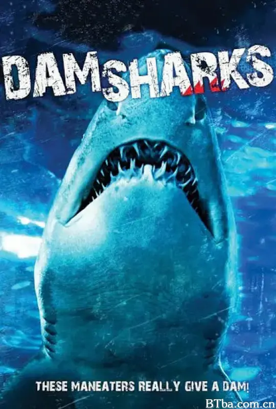 坝气鲨/Dam Sharks