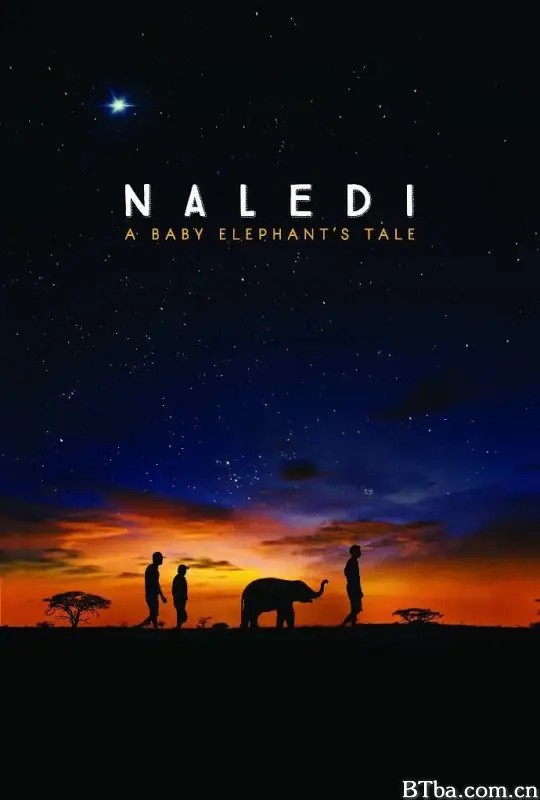 纳勒迪：一只小象的故事/Naledi: A Baby Elephant's Tale