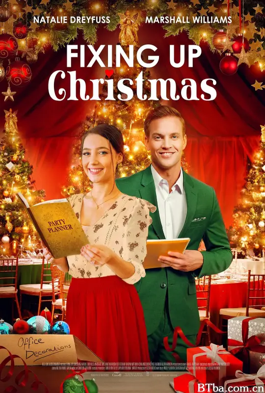 圣诞节危机派对/FIXING UP CHRISTMAS