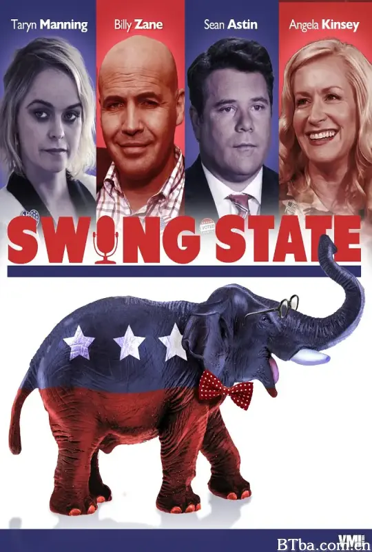 摇摆州/Swing State