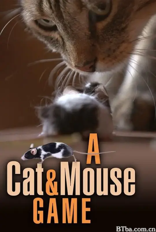 猫鼠游戏/A Cat and Mouse Game