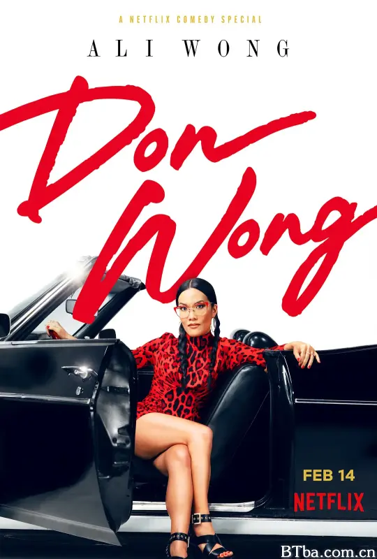 黄阿丽：风流女子/Ali Wong: Don Wong