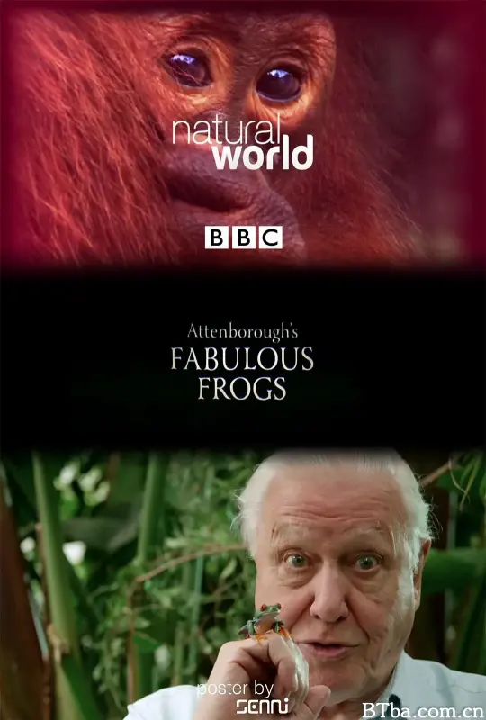 大自然：爱登保罗爷爷带你看绝妙的蛙 Nature: Attenborough's Fabulous Frogs (2014) 1080P/720P BT磁力 迅雷网盘下载