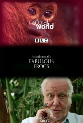 大自然：爱登保罗爷爷带你看绝妙的蛙/Nature: Attenborough's Fabulous Frogs