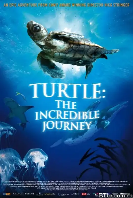 海龟奇妙之旅 Turtle: The Incredible Journey (2009) 1080P/720P BT磁力 迅雷网盘下载