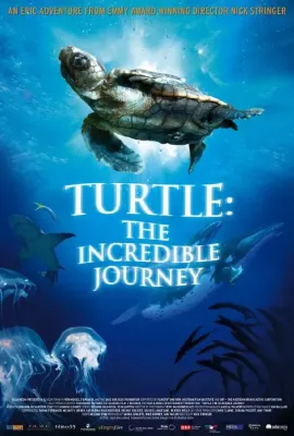 海龟奇妙之旅/Turtle: The Incredible Journey