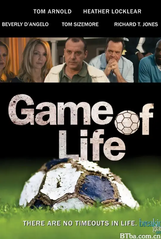 人生比赛/Game of Life
