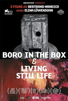 盒中博罗/Boro In The Box