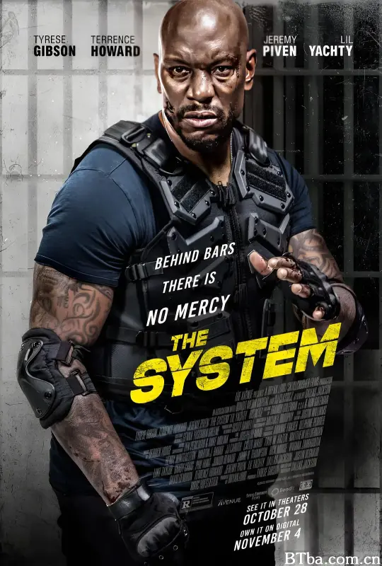 危险卧底/The System