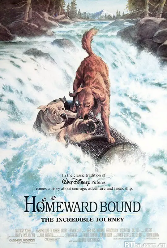 看狗在说话/Homeward Bound: The Incredible Journey