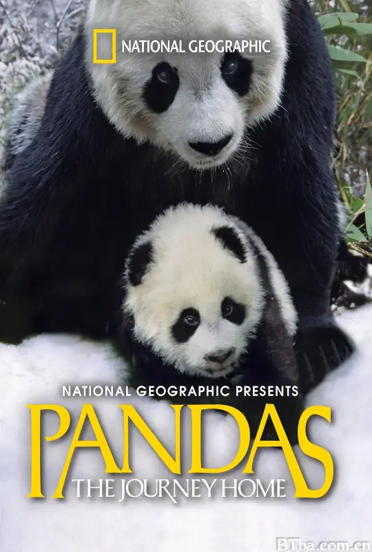大熊猫：回家的旅程/Pandas: The Journey Home